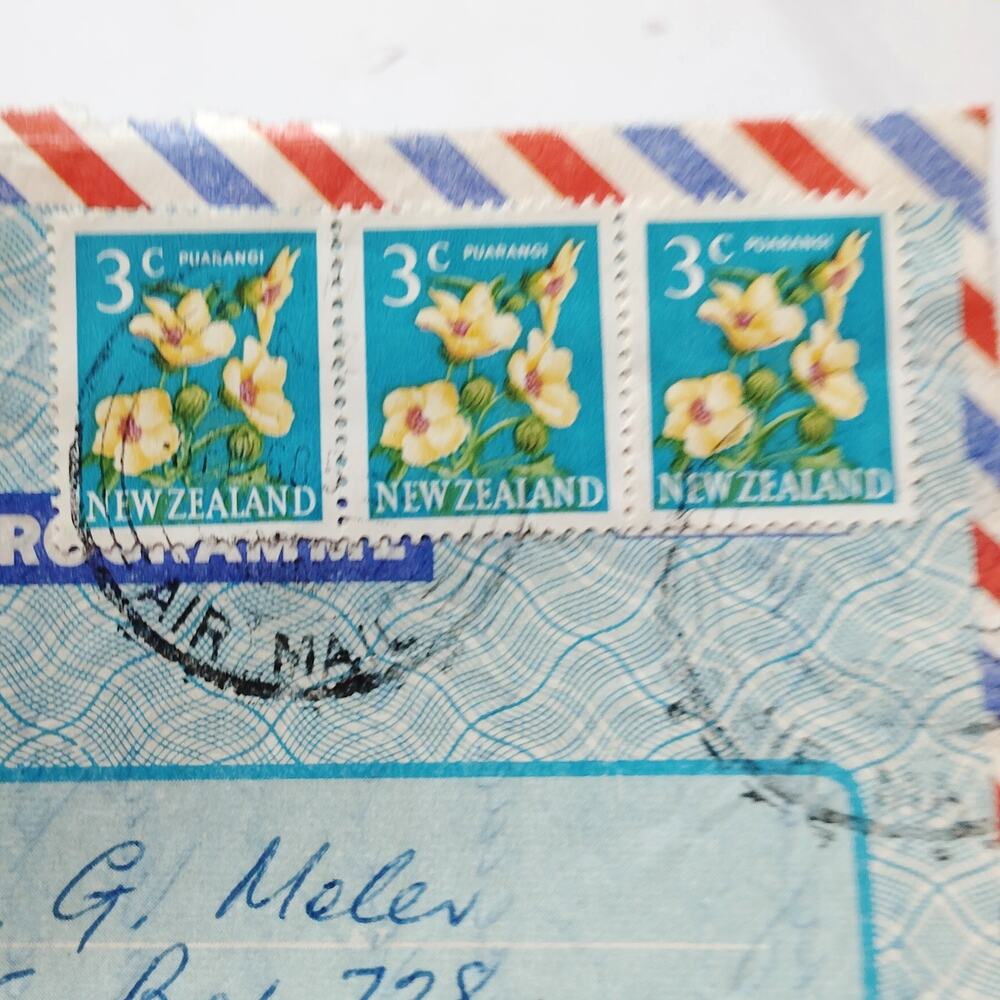 1968 New Zealand 3c Puarangi Airmail Aerogramme Cover to USA Postal History